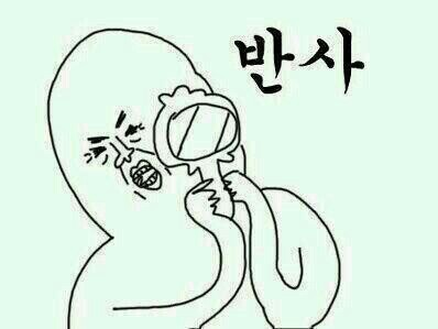 시즌글라스 이미지
