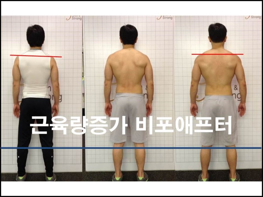 슬림앤스트롱 이미지