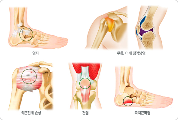 상해스포츠 이미지