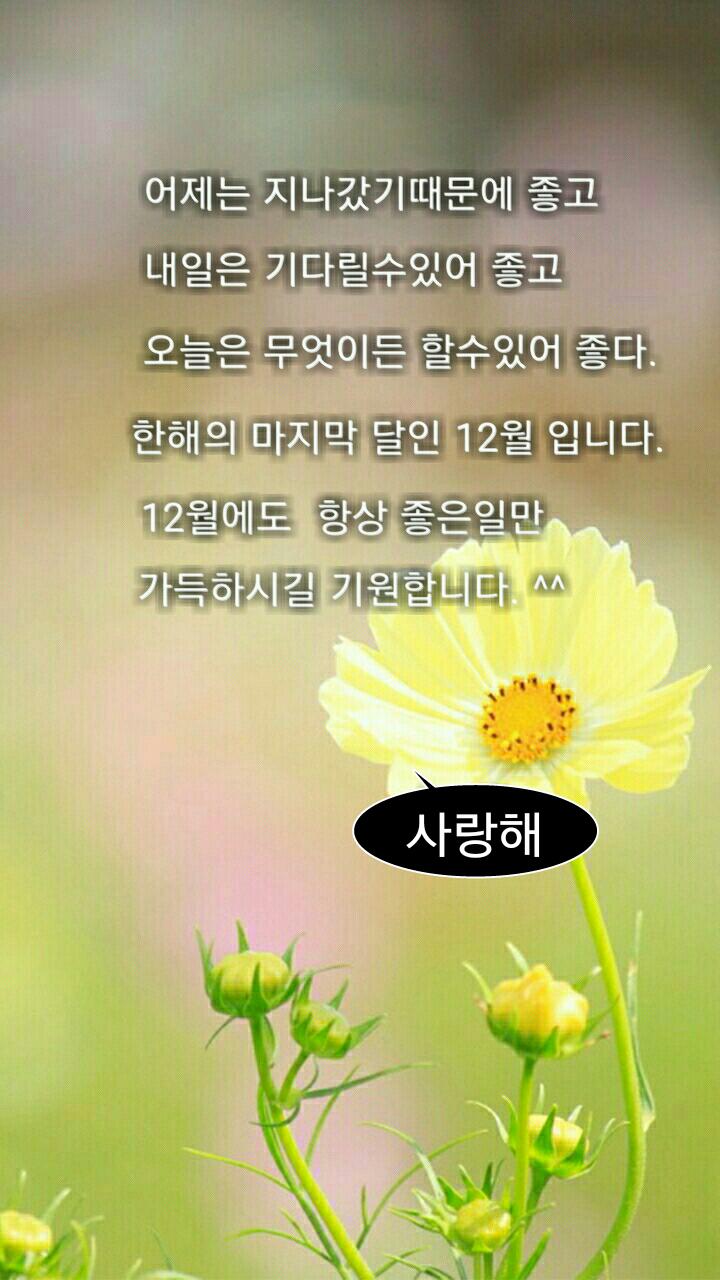 우리포차 이미지