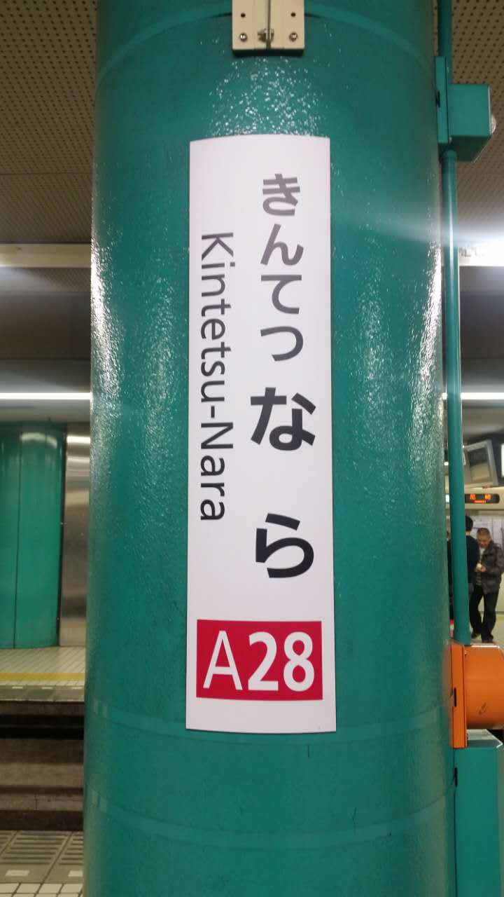 차나라 이미지