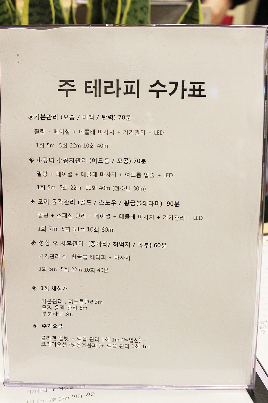 테라피피부관리실 이미지