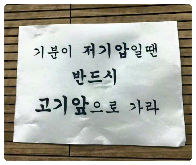 일류고기 이미지