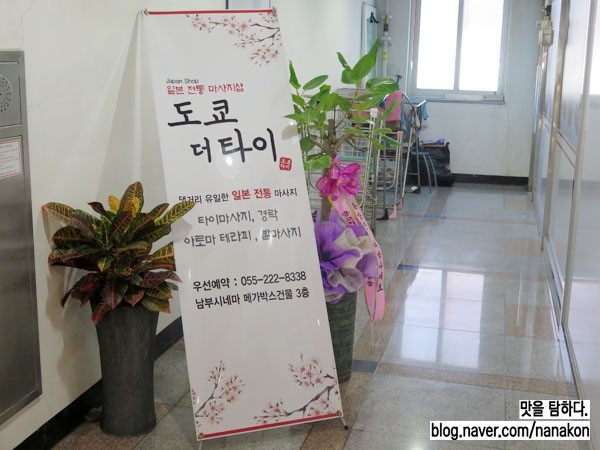 도쿄더타이 이미지