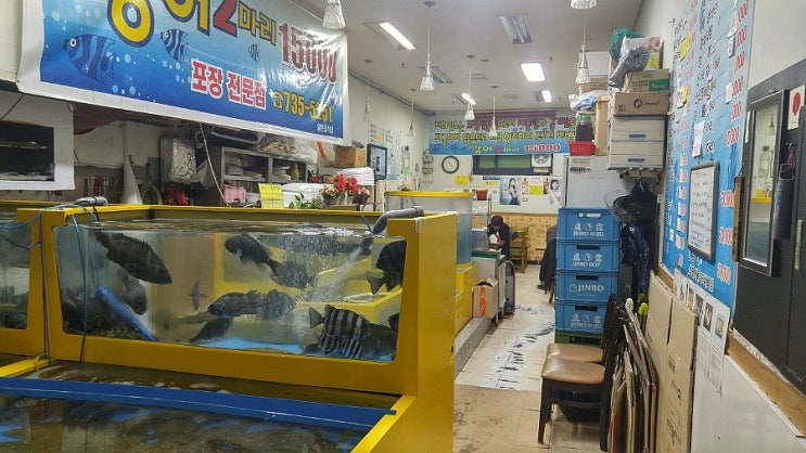 광어2마리 이미지