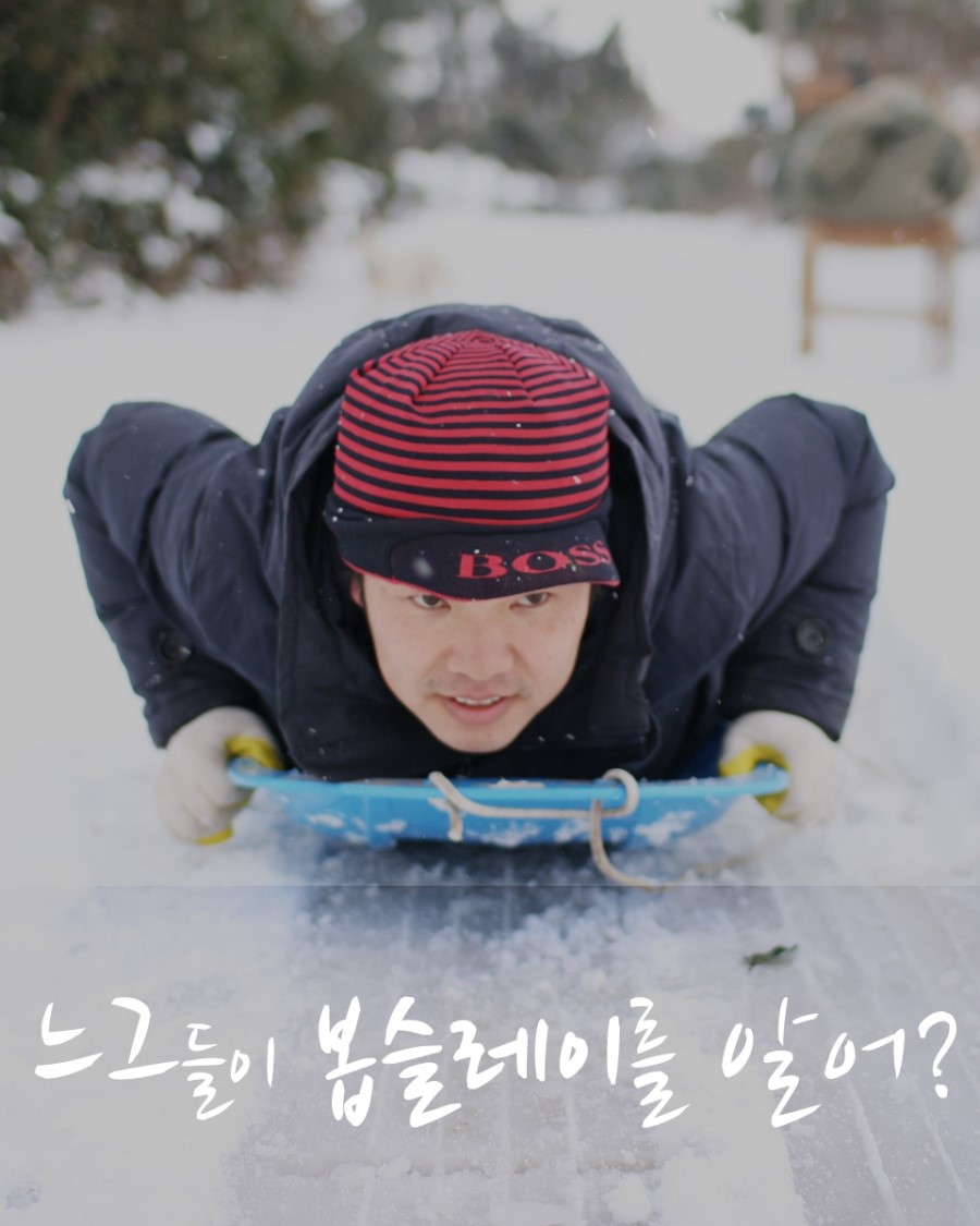 호끌락 이미지