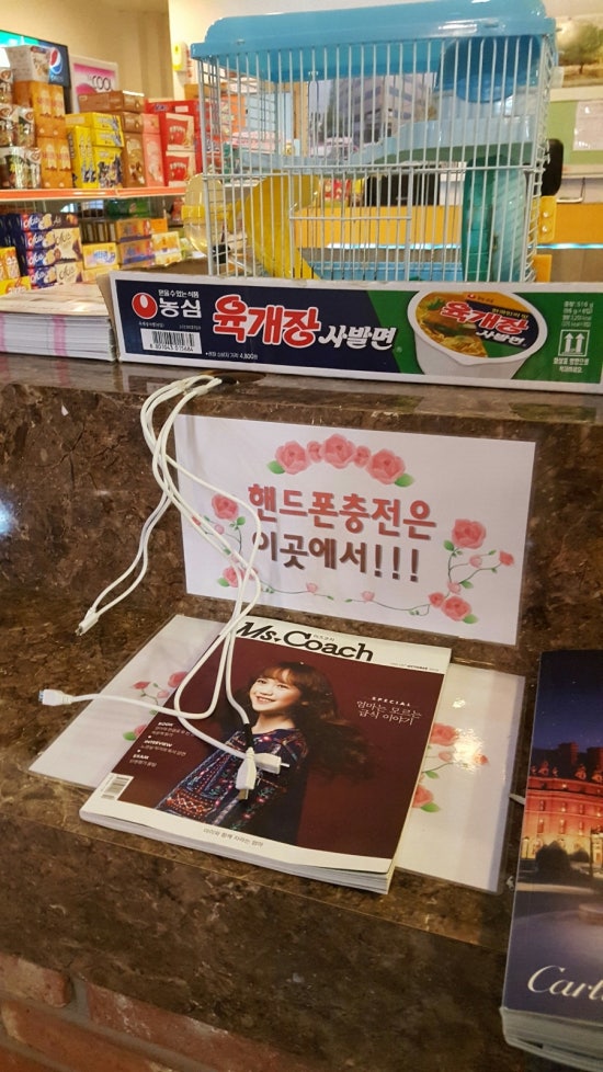 점프홀릭파크 이미지