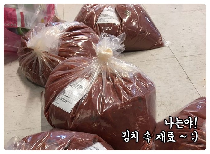 썬미트 이미지