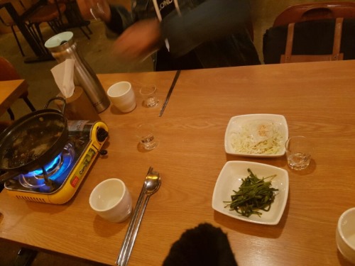 소새끼 이미지
