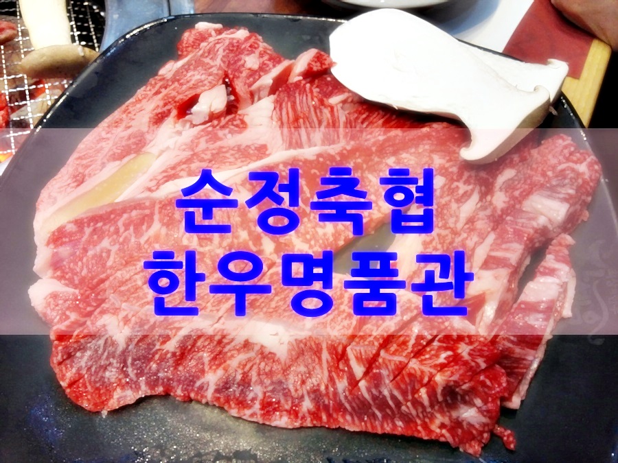 순정축협한우명품관 이미지