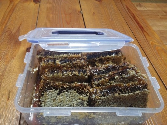 설통신 이미지