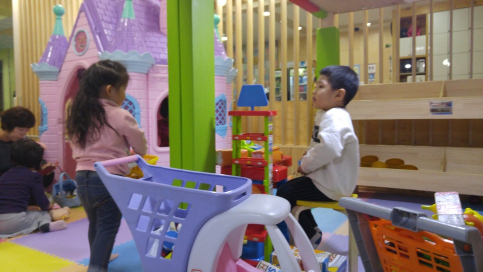 키크는 나무 이미지