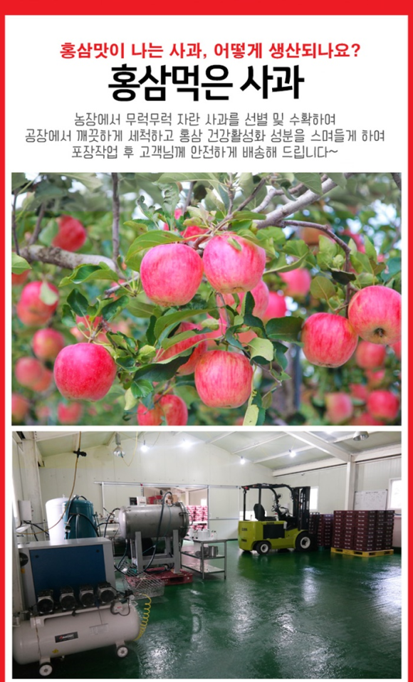 성안유통 이미지