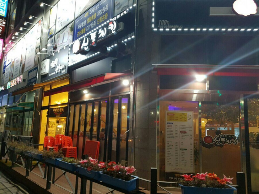 꼬꼬시티고양 이미지