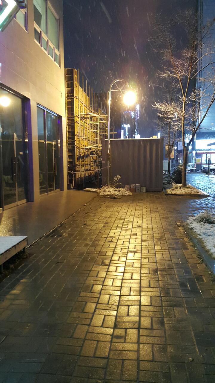 눈꽃나무 이미지