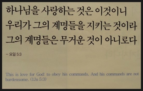 데이빗서적 이미지