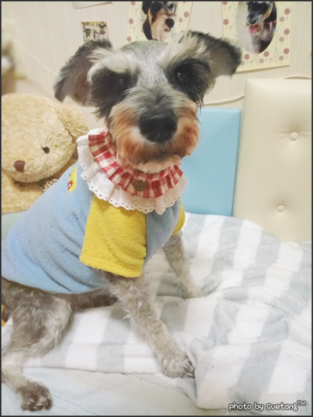 꼬미네일 이미지