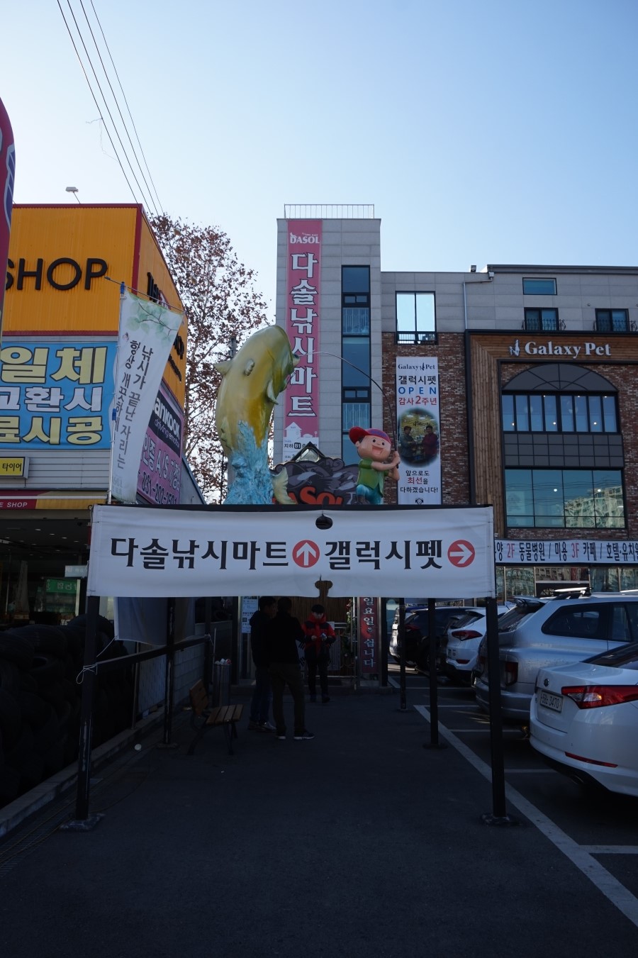 다솔에가다 이미지