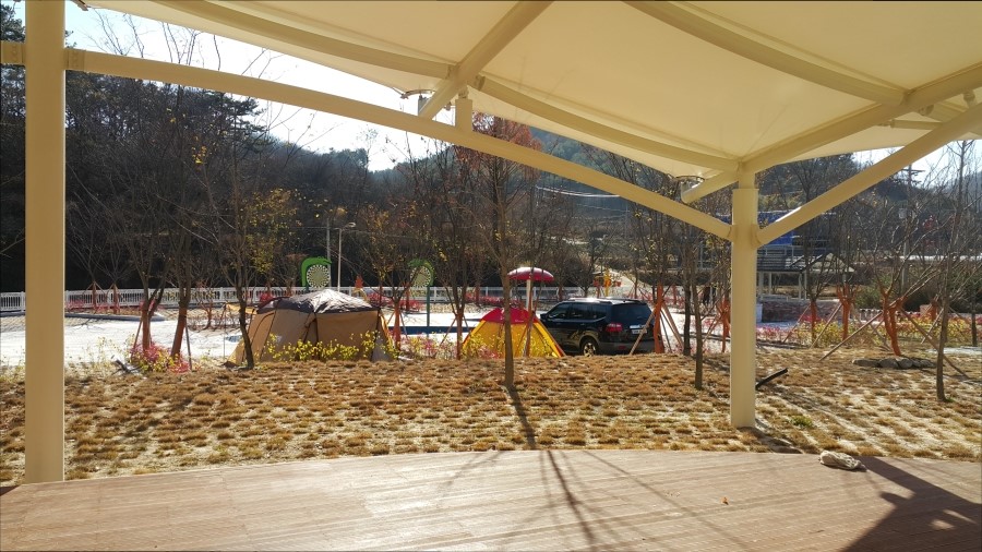 강변사리 이미지