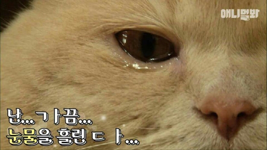 노향희 헤어갤러리 이미지