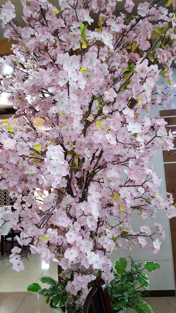 송화반점 이미지