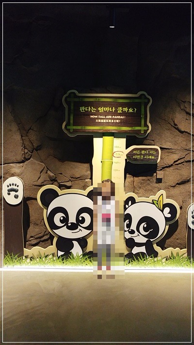 고고판다 이미지