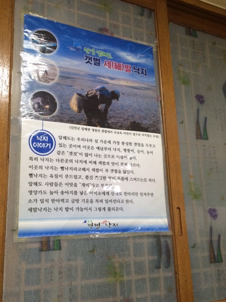 신안갯벌세발낙지 이미지