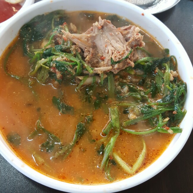 수일생오리 이미지