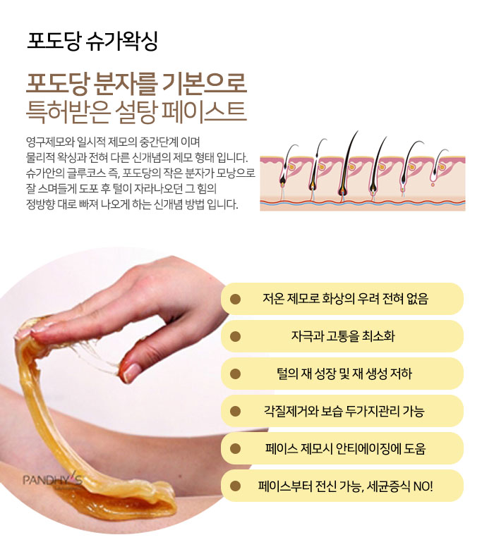 판디스 이미지