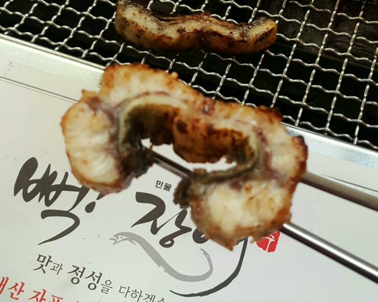 뻑장어 이미지