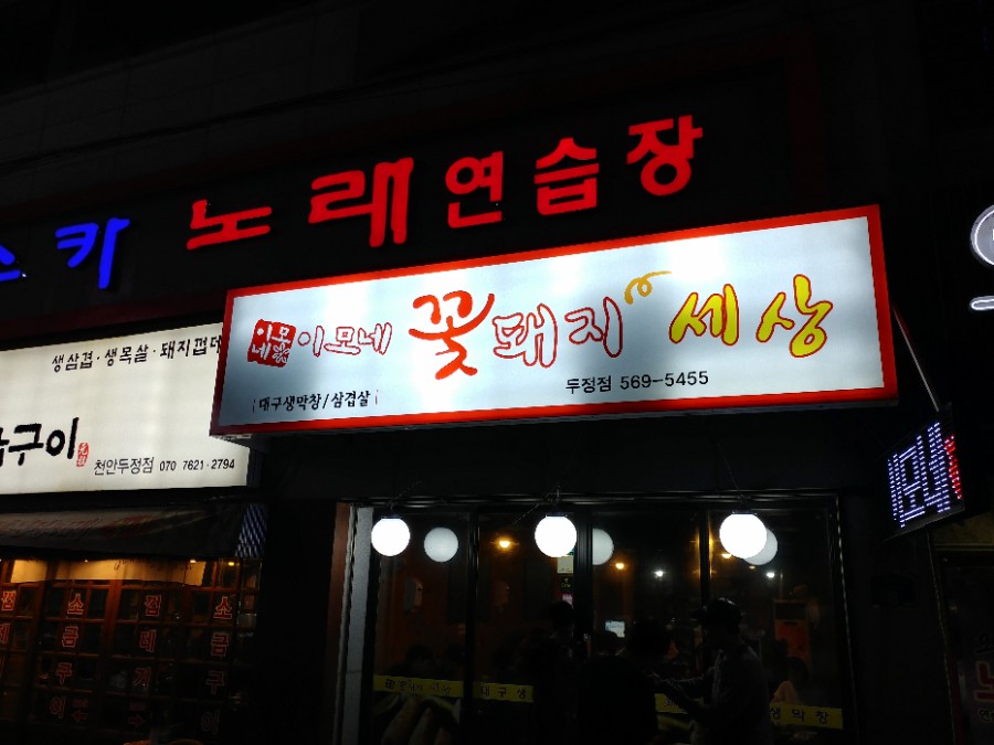 이모네꽃돼지 이미지