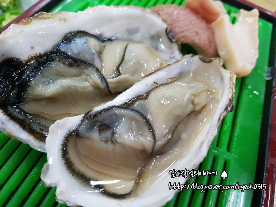 독도수산 이미지