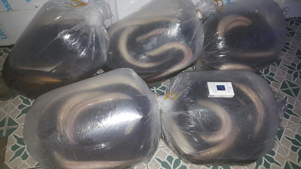 전주실내바다낚시터 이미지