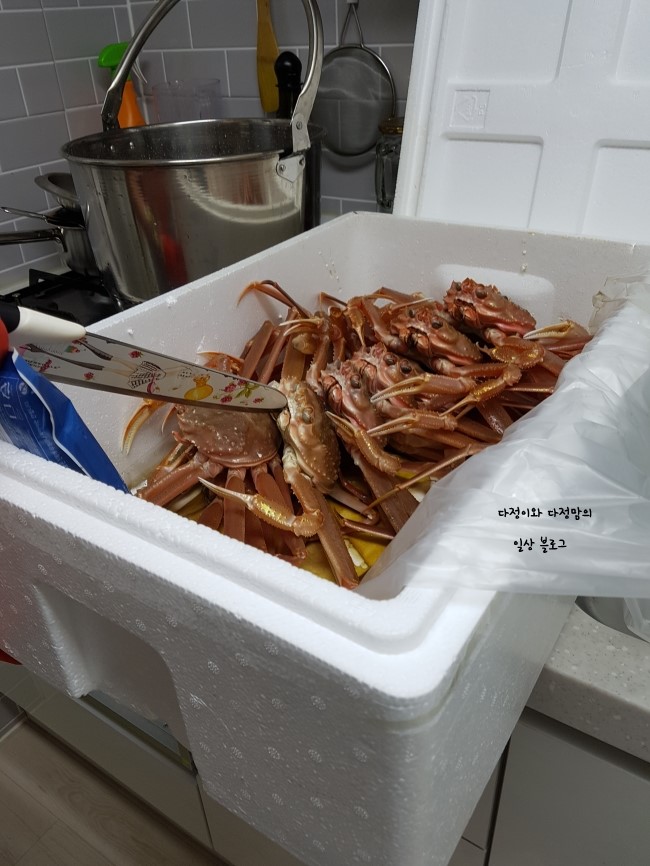 로얄수산 이미지