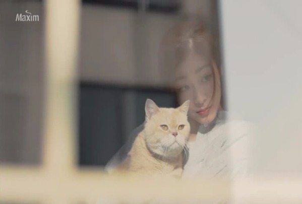 골드식품 이미지
