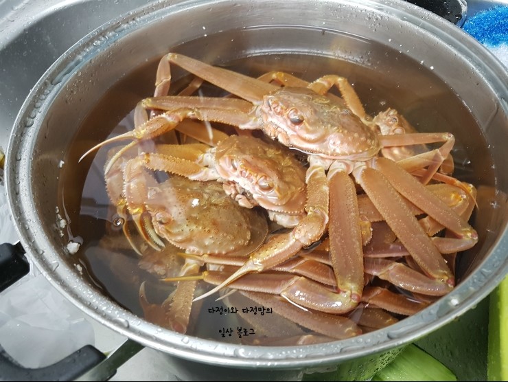 로얄수산 이미지