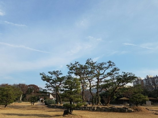 신돈지메 이미지