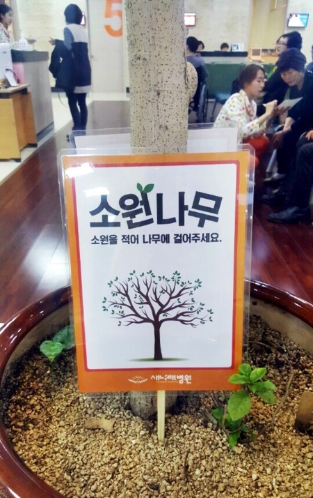 새나래나무병원 이미지