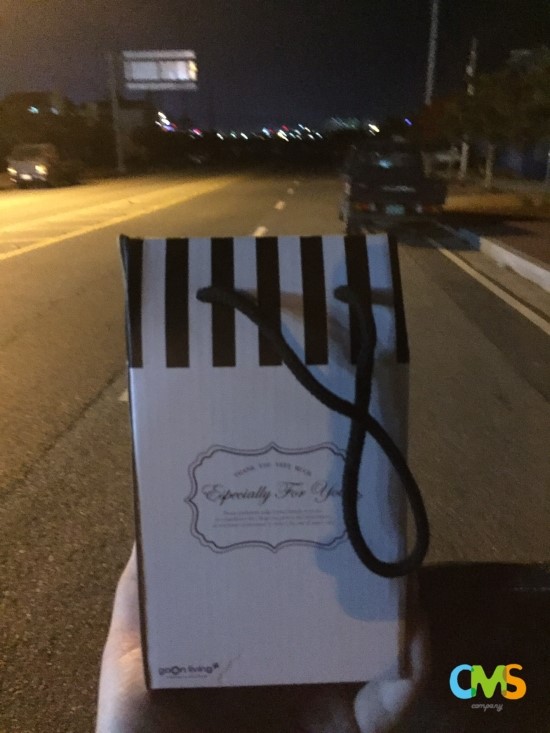 뽕이나무 이미지