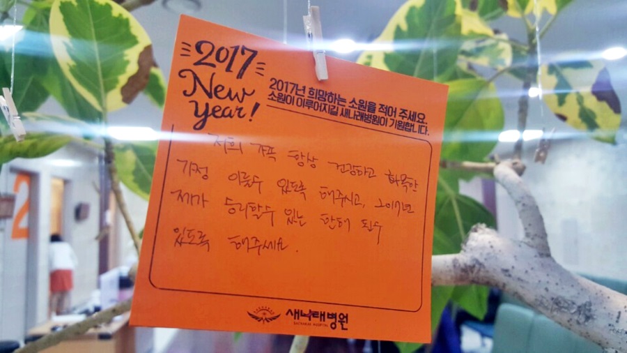 새나래나무병원 이미지