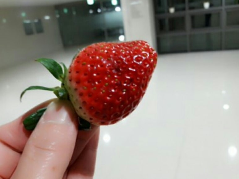 이루리농장 이미지