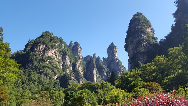 세계일주 여행사 이미지