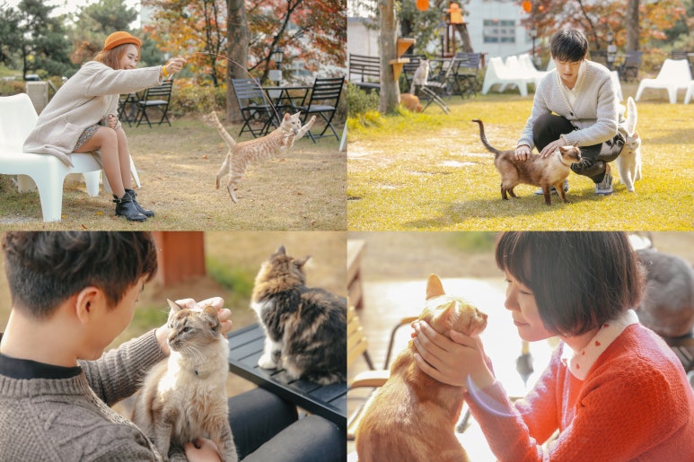 떼껄룩(TAKE A LOOK) 이미지