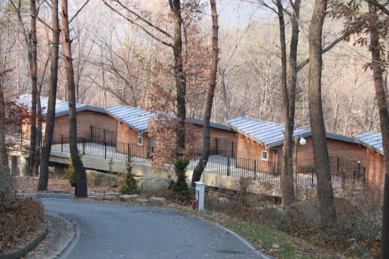 대야산자연휴양림 이미지