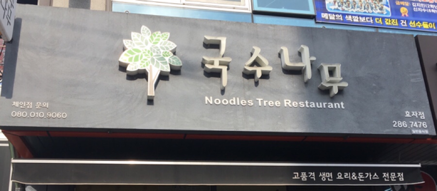 국수나무효자 이미지