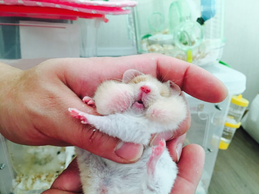 (주)밀크 이미지