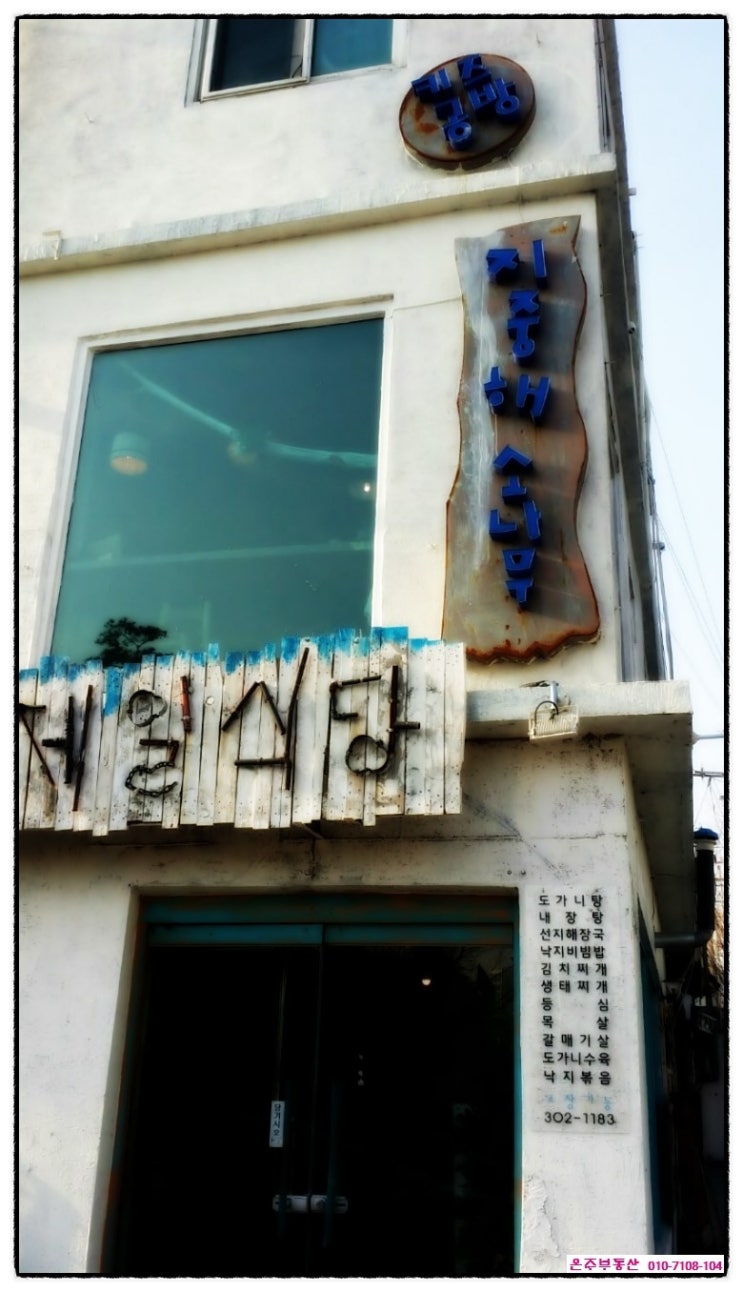 지중해소나무 이미지