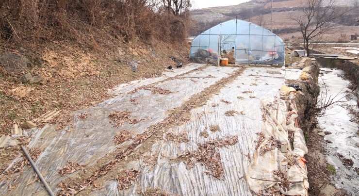 충주댐주유소 이미지