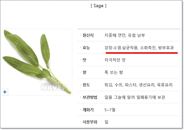 집시테라피 이미지