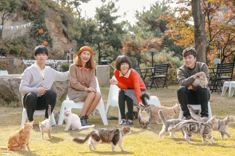 떼껄룩(TAKE A LOOK) 이미지